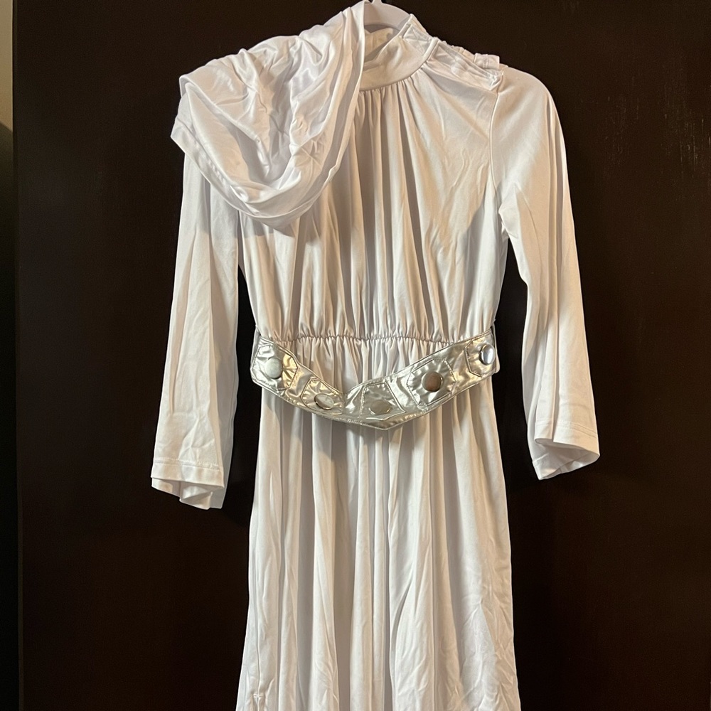 Princess Leia costume from Disney store with wig.